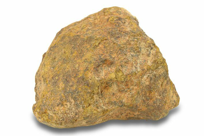 Gold Basin Chondrite Meteorite ( g) - Arizona #282767